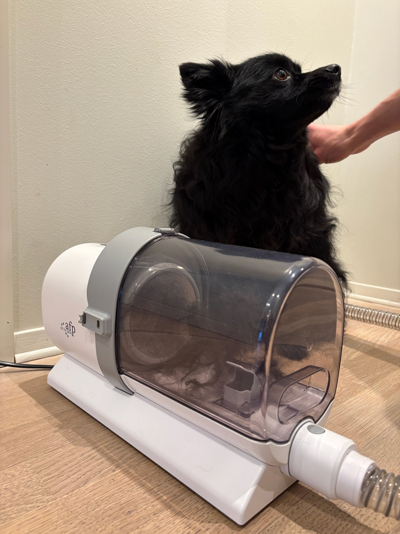 AFP pelsstøvsuger med 2.5 liter oppsamling - lavt støynivå for hund og katt
