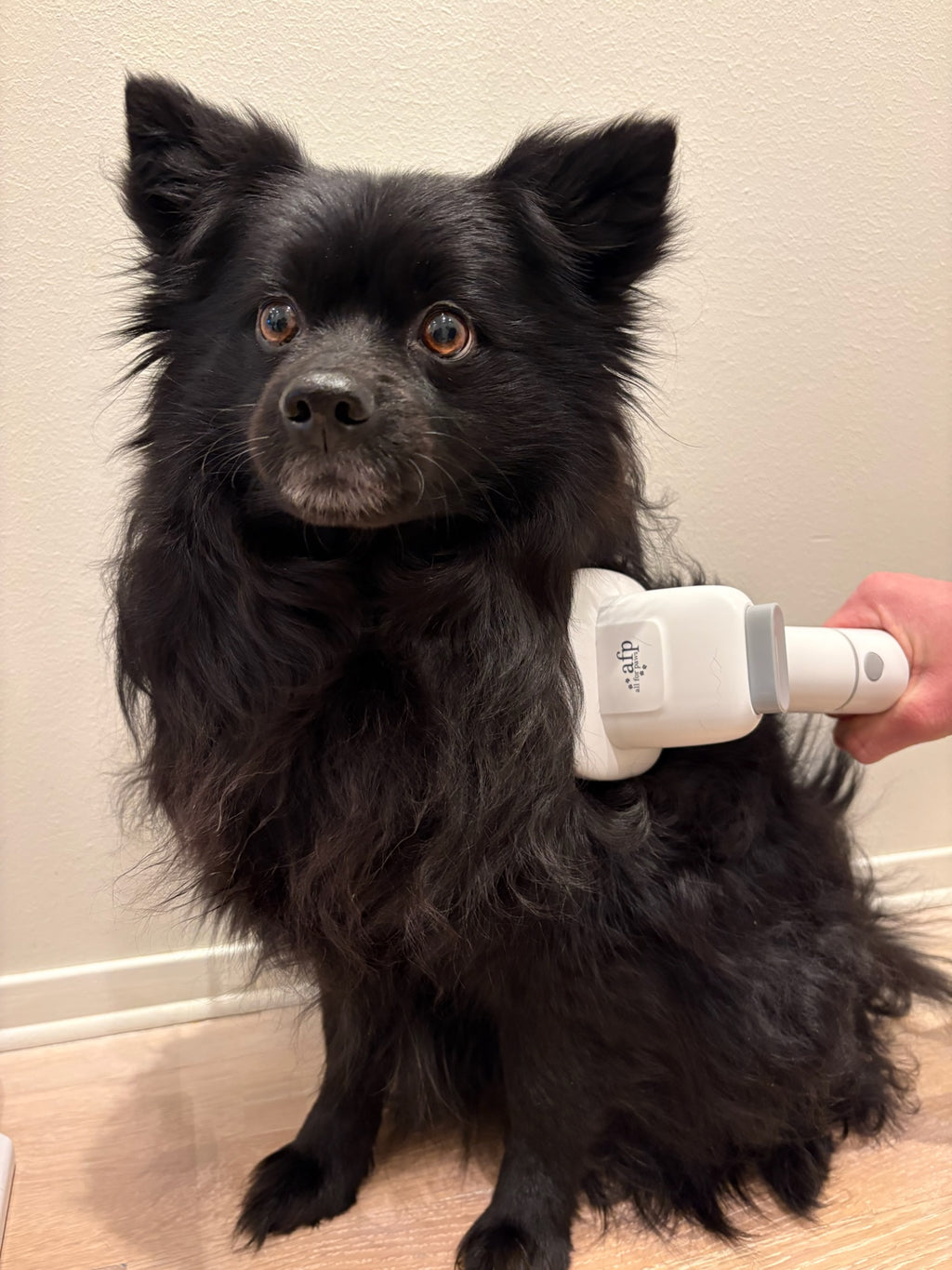 Komplett hundefrisør-sett med elektrisk trimmer - 6 justerbare lengder fra 3-24mm